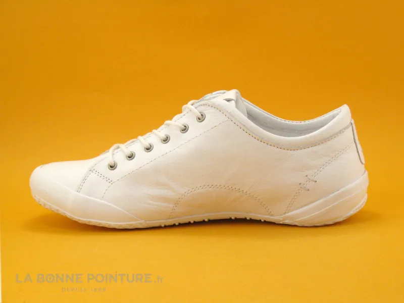 Achat chaussures Andrea Conti Femme Basket, vente Andrea Conti 0340559-001 WEIB - Basket basse femme en cuir blanc
