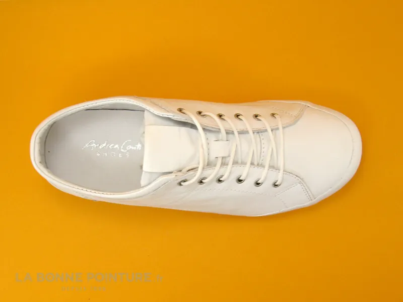 Achat chaussures Andrea Conti Femme Basket, vente Andrea Conti 0340559-001 WEIB - Basket basse femme en cuir blanc
