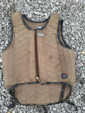 Dainese protective vest