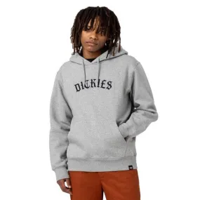 DICKIES UNION SPRINGS HOODIE SWEAT Gris